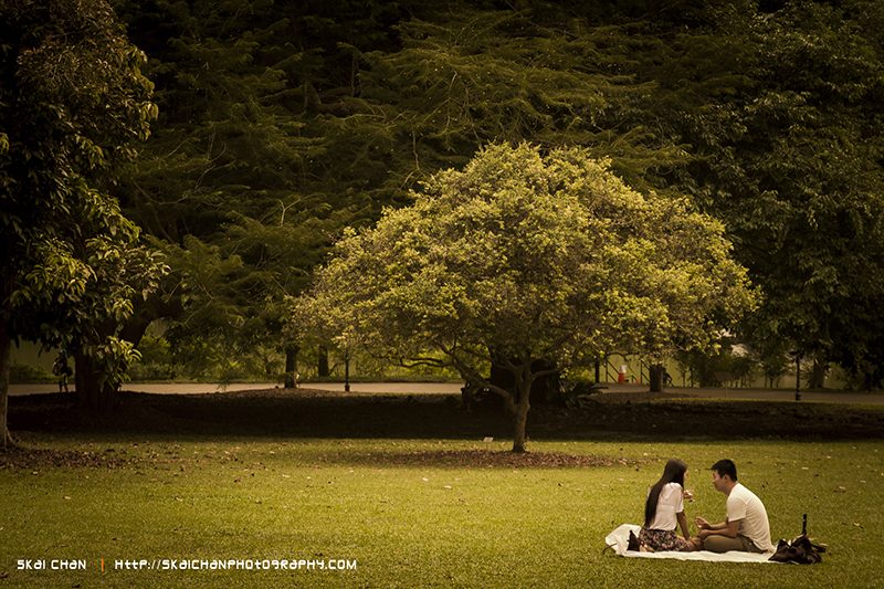 Couple photoshoot at Singapore Botanic Gardens