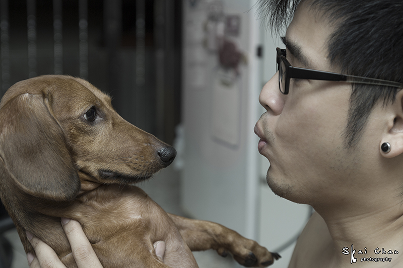 Pet photoshoot with Luckie Chan Pet photoshoot with Luckie Chan