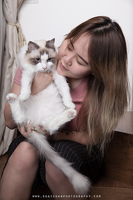 Indoor High-End Cat Pet Photoshoot - Kelly Lim, Misha & Sky @ Home