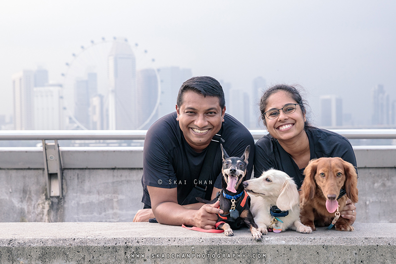 Outdoor dogs with owners photoshoot for Prakash & Darsheni at Marina Barrage Outdoor dogs with owners photoshoot for Prakash & Darsheni at Marina Barrage