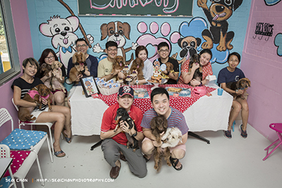 Barkday | Pele